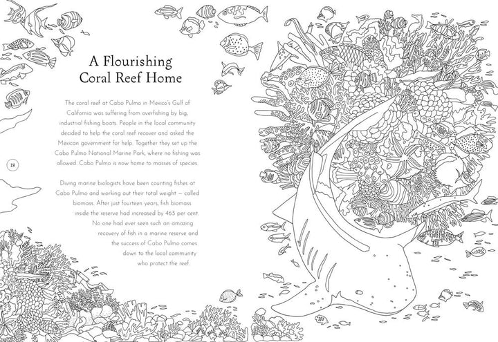 Return of the Wild Coloring Book
