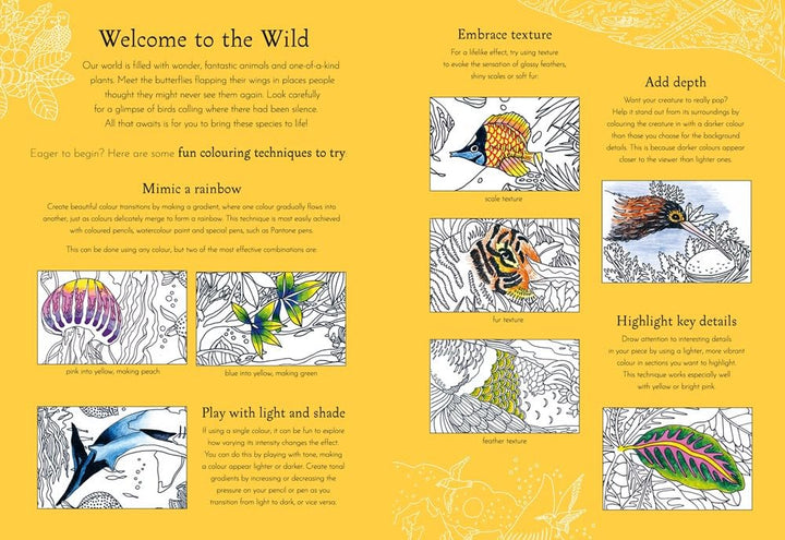 Return of the Wild Coloring Book