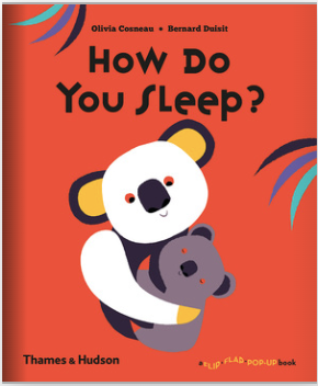 How Do You Sleep? by Olivia Cosneau (Author), Bernard Duisit (Author)