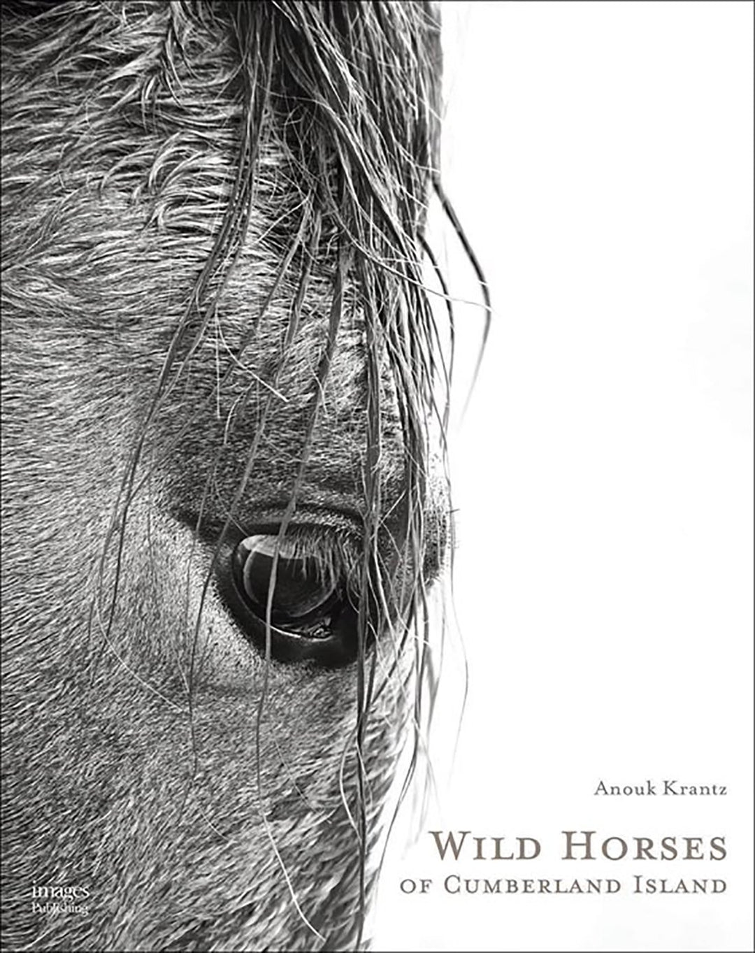 Wild Horses Of Cumberland Island Second