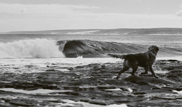 Life Around the Sea Capturing the Heart of Australian Surf Culture By (author) Russell Ord By (author) Alex Workman