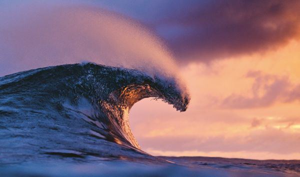 Life Around the Sea Capturing the Heart of Australian Surf Culture By (author) Russell Ord By (author) Alex Workman