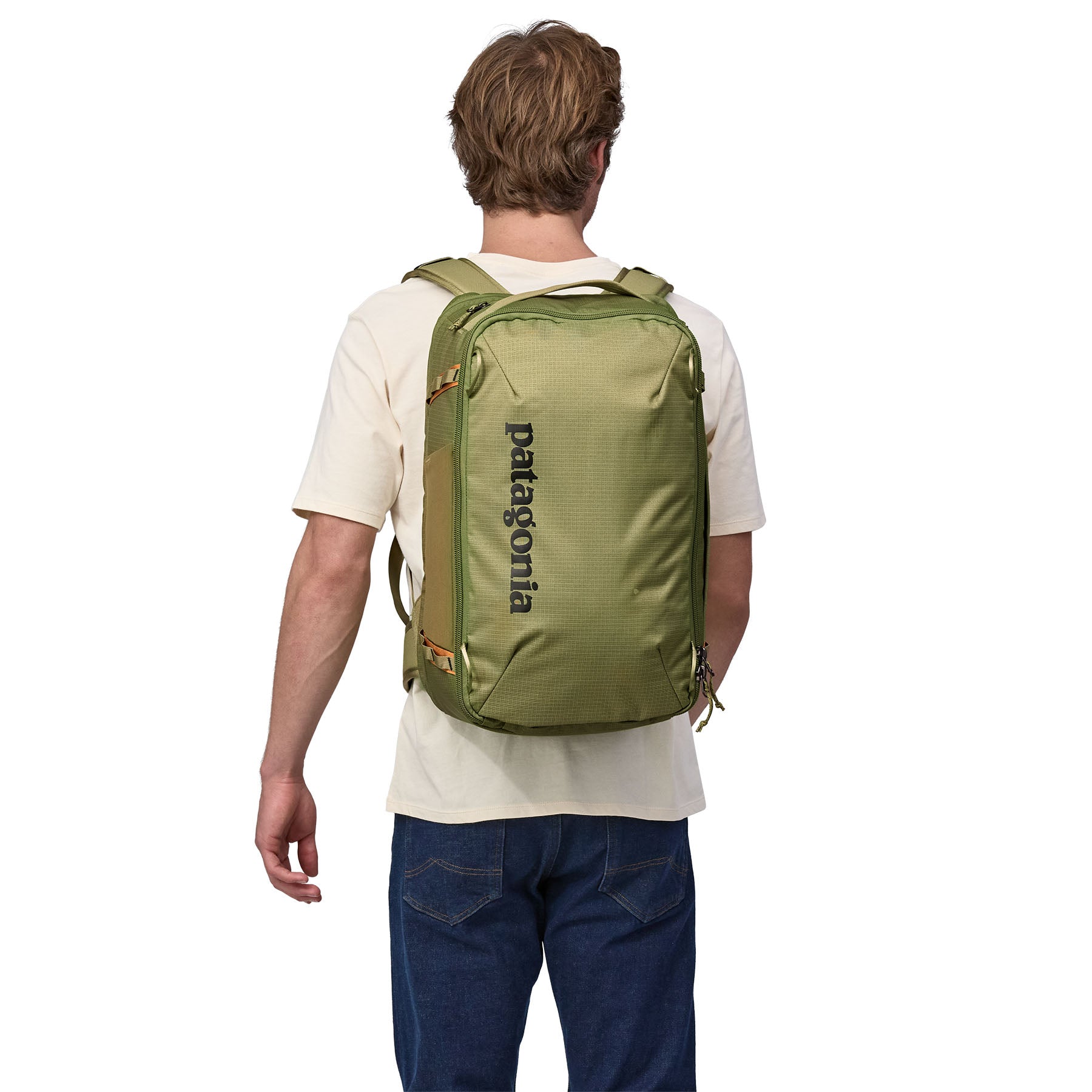 Patagonia black hole pack 30l outlet