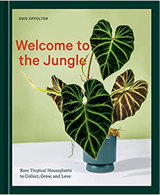 Welcome to the Jungle: Rare Tropical Houseplants to Collect, Grow, and Love